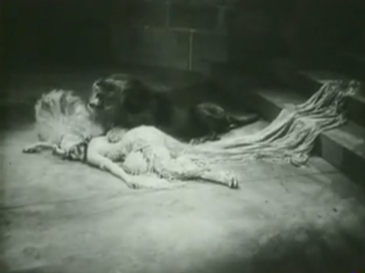 image still lion swanson male female