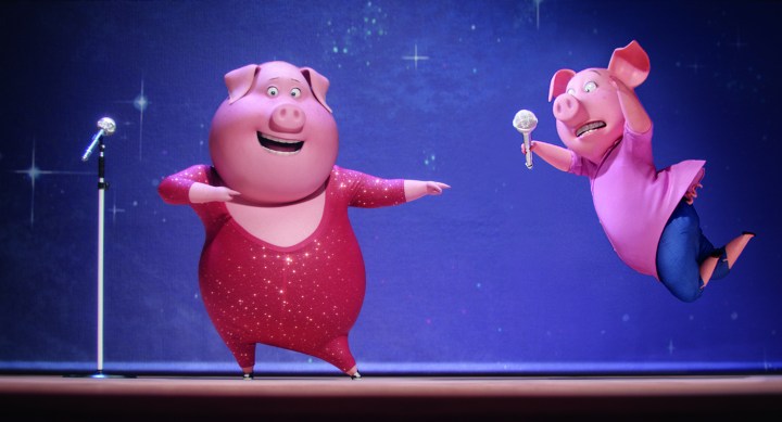 Gunter and Rosita the pigs rehearse in a still from Sing
