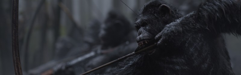 image still photo war planet apes
