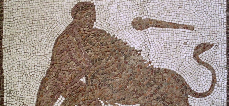 image film poster sandow lion