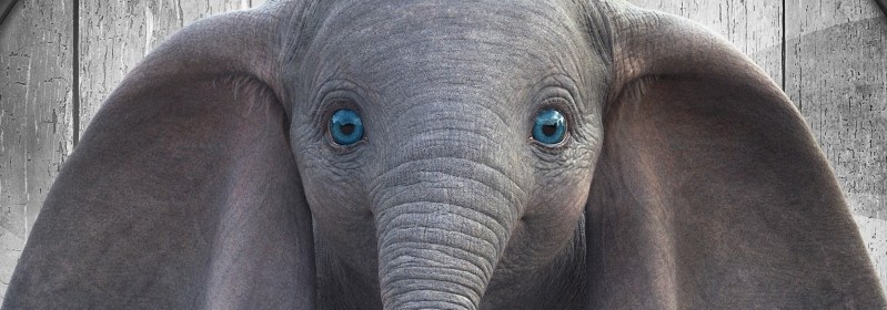 image dumbo 2019 baby elephant