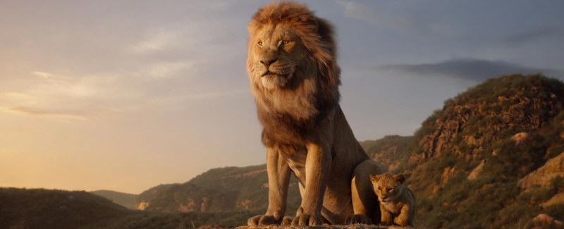 Film still of The Lion King (2019) with two lions on a rocky outcrop looking onto the horizon.