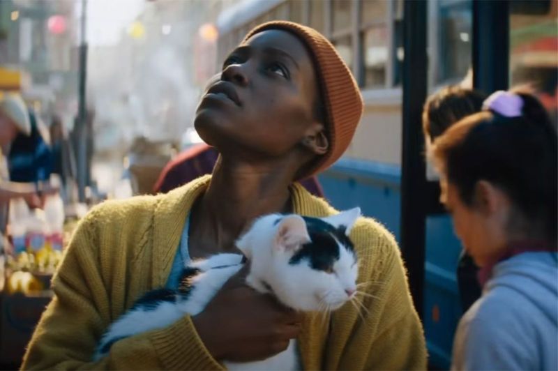 Image from A Quiet Place: Day One showing Lupita Nyong'o and the cat 'Frodo'.